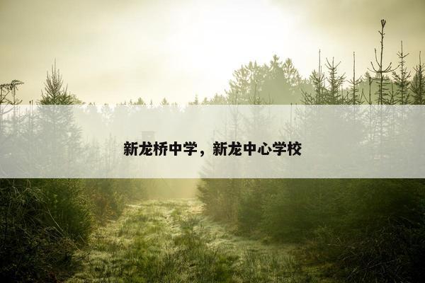 新龙桥中学，新龙中心学校