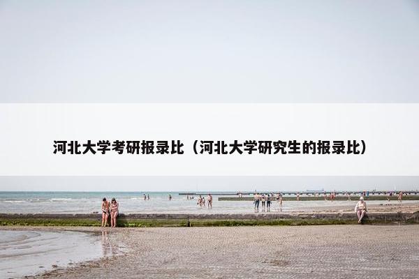 河北大学考研报录比（河北大学研究生的报录比）