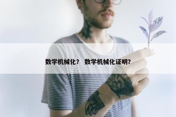 数学机械化？ 数学机械化证明？