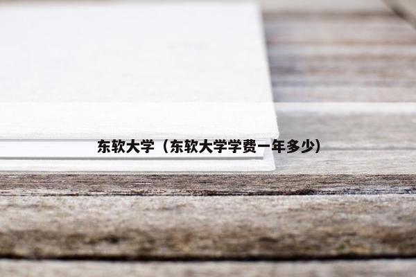 东软大学（东软大学学费一年多少）