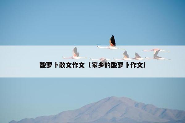 酸萝卜散文作文（家乡的酸萝卜作文）