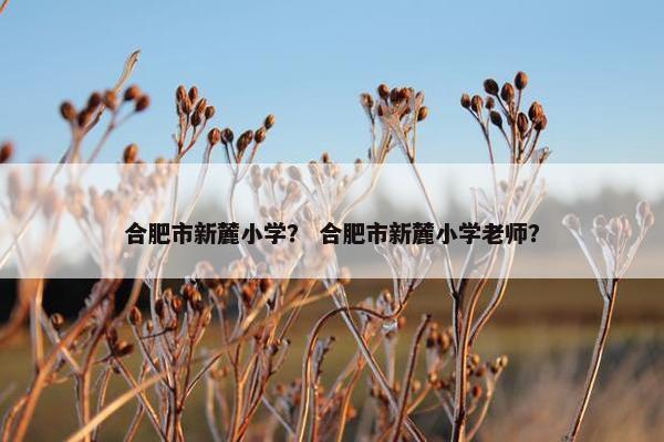 合肥市新麓小学？ 合肥市新麓小学老师？