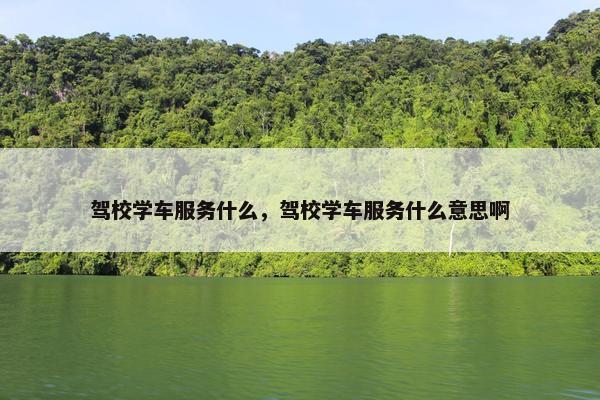 驾校学车服务什么，驾校学车服务什么意思啊