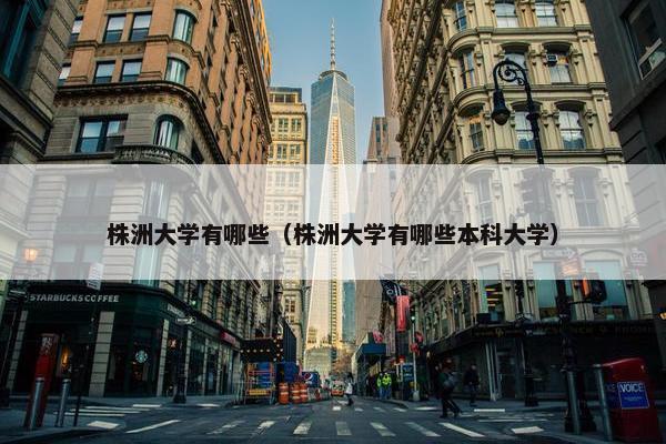 株洲大学有哪些（株洲大学有哪些本科大学）