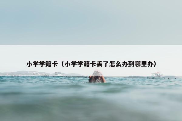 小学学籍卡（小学学籍卡丢了怎么办到哪里办）