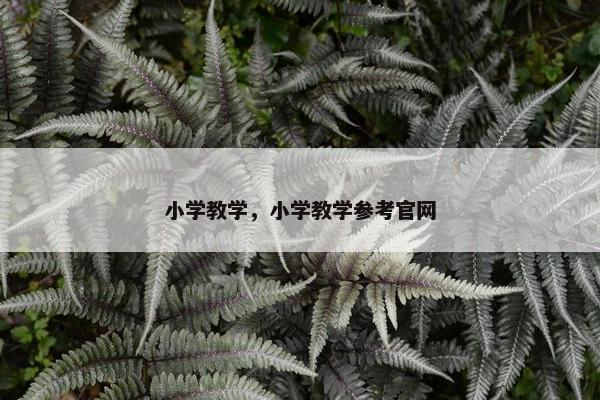 小学教学，小学教学参考官网