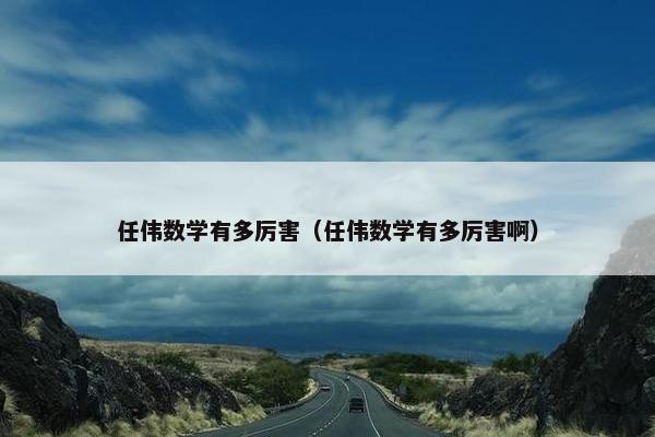 任伟数学有多厉害（任伟数学有多厉害啊）