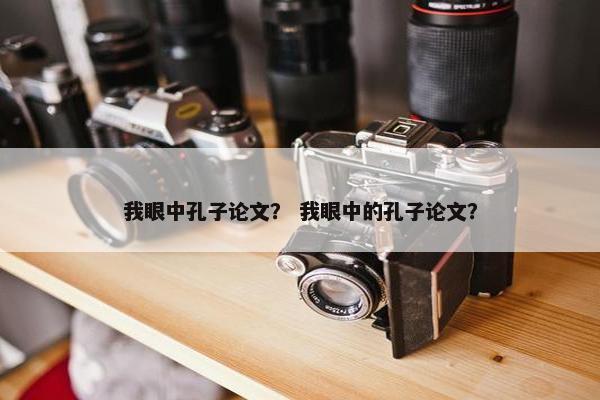 我眼中孔子论文？ 我眼中的孔子论文？