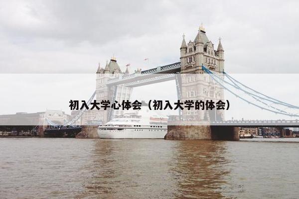 初入大学心体会（初入大学的体会）