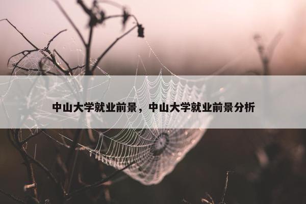 中山大学就业前景，中山大学就业前景分析