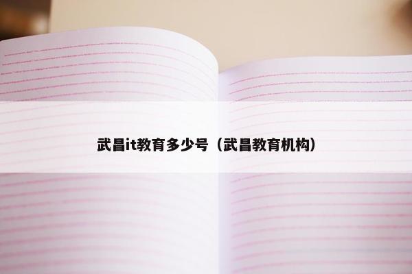 武昌it教育多少号（武昌教育机构）
