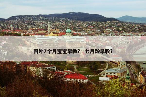 国外7个月宝宝早教？ 七月龄早教？