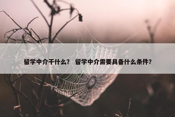 留学中介干什么？ 留学中介需要具备什么条件？