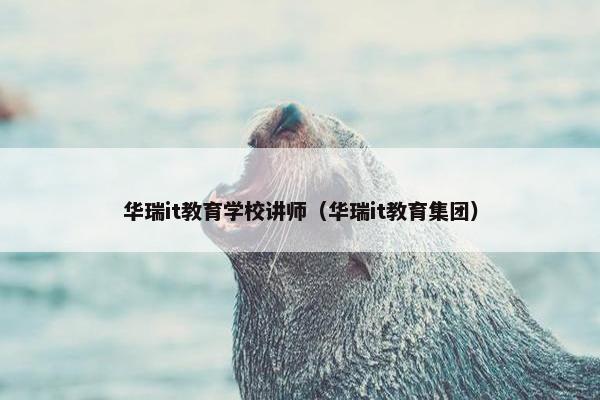 华瑞it教育学校讲师（华瑞it教育集团）