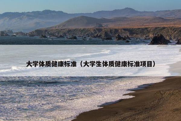 大学体质健康标准（大学生体质健康标准项目）