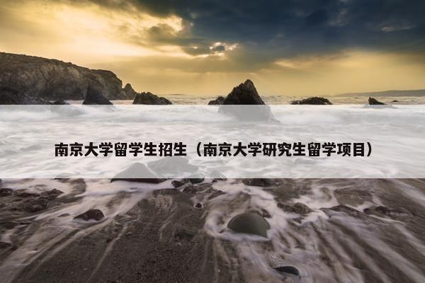 南京大学留学生招生（南京大学研究生留学项目）