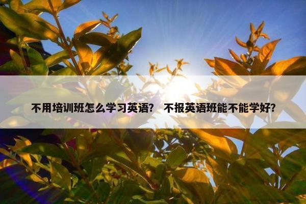 不用培训班怎么学习英语？ 不报英语班能不能学好？