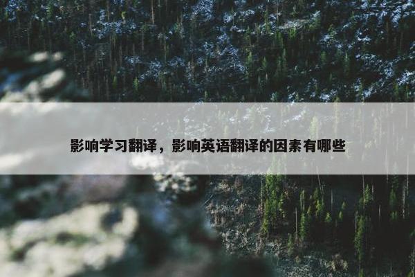 影响学习翻译，影响英语翻译的因素有哪些