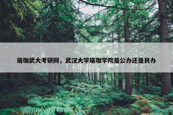 珞珈武大考研网，武汉大学珞珈学院是公办还是民办