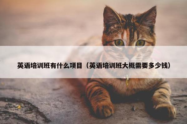 英语培训班有什么项目（英语培训班大概需要多少钱）