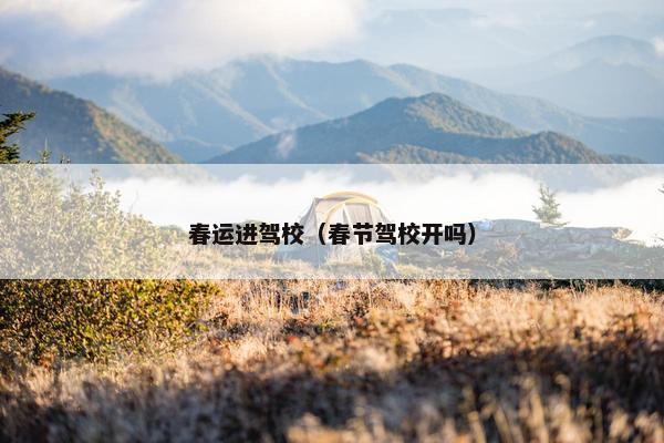 春运进驾校（春节驾校开吗）