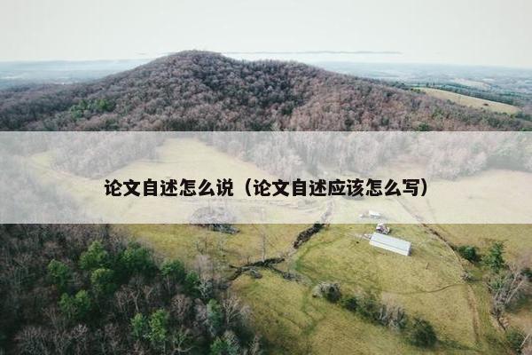 论文自述怎么说（论文自述应该怎么写）