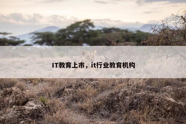 IT教育上市，it行业教育机构