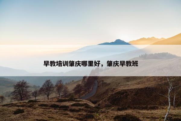早教培训肇庆哪里好，肇庆早教班