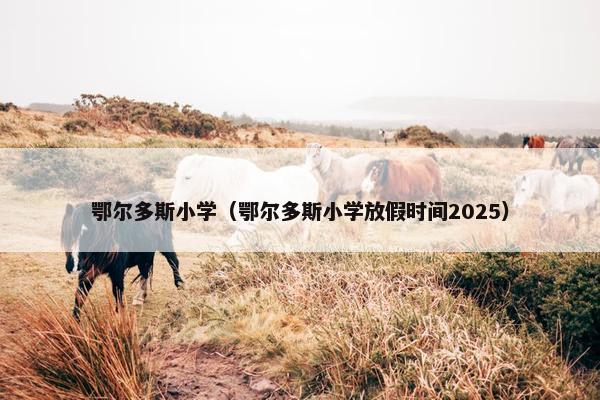 鄂尔多斯小学（鄂尔多斯小学放假时间2025）