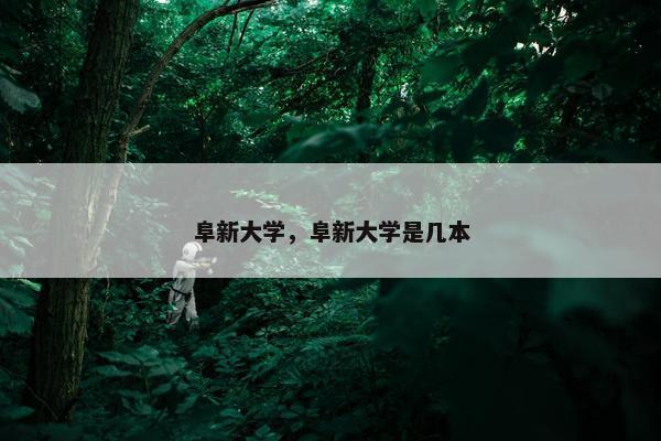 阜新大学，阜新大学是几本