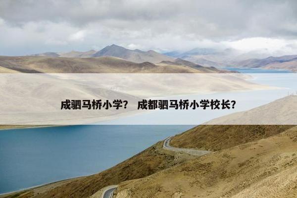 成驷马桥小学？ 成都驷马桥小学校长？