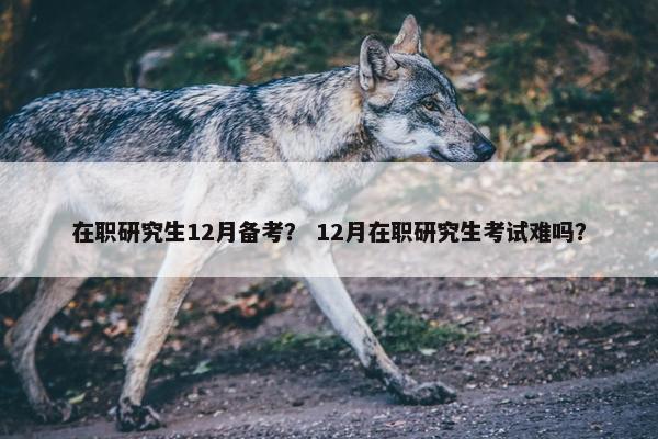在职研究生12月备考？ 12月在职研究生考试难吗？