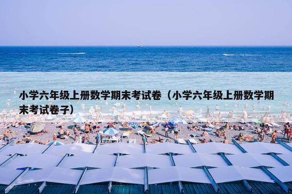 小学六年级上册数学期末考试卷（小学六年级上册数学期末考试卷子）