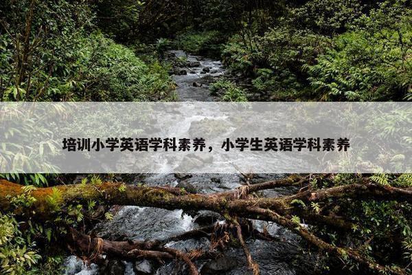 培训小学英语学科素养，小学生英语学科素养