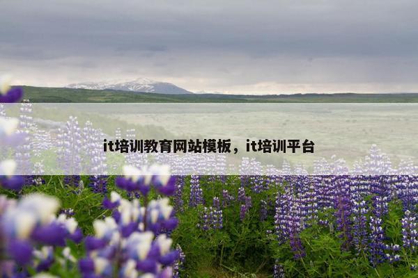 it培训教育网站模板，it培训平台