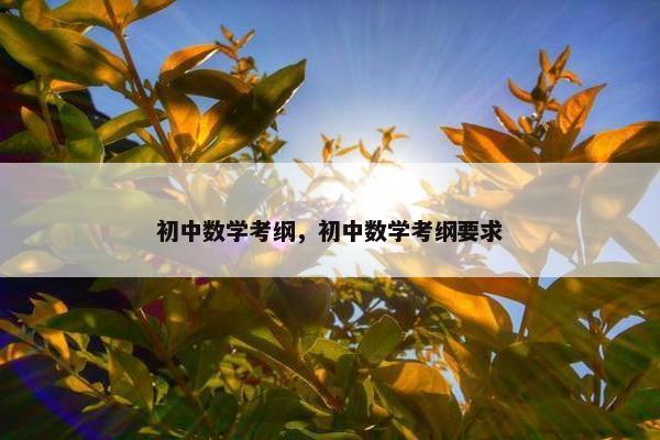 初中数学考纲，初中数学考纲要求