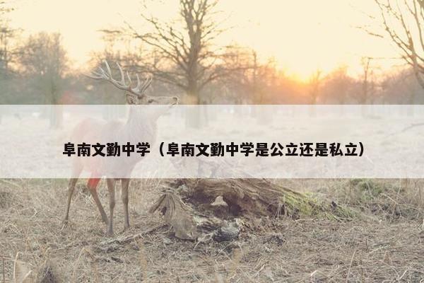 阜南文勤中学（阜南文勤中学是公立还是私立）