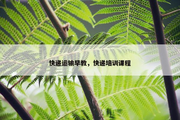 快递运输早教，快递培训课程