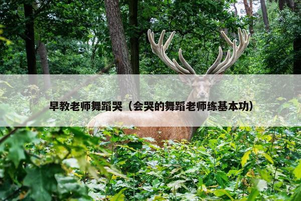 早教老师舞蹈哭（会哭的舞蹈老师练基本功）