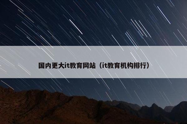 国内更大it教育网站（it教育机构排行）