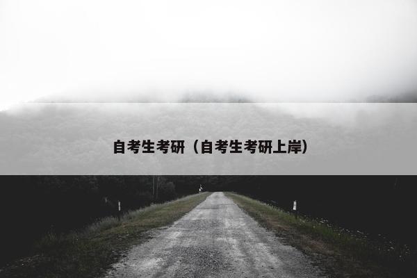 自考生考研（自考生考研上岸）