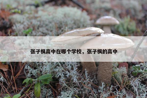 张子枫高中在哪个学校，张子枫的高中
