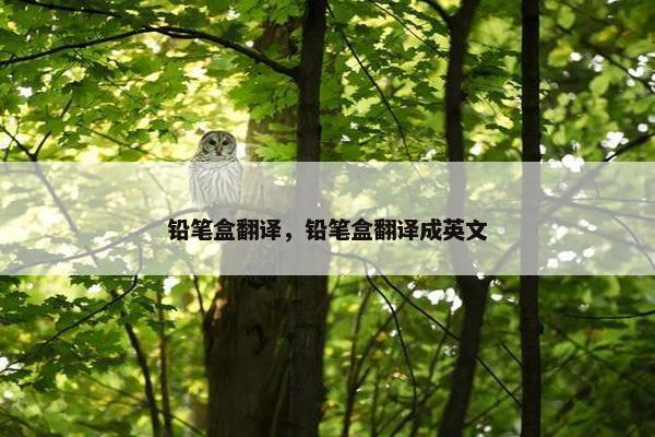 铅笔盒翻译，铅笔盒翻译成英文