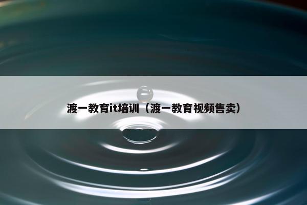 渡一教育it培训（渡一教育视频售卖）
