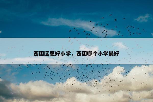 西固区更好小学，西固哪个小学最好