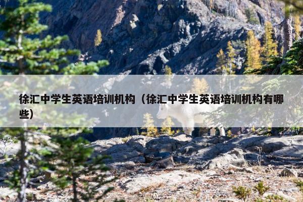 徐汇中学生英语培训机构（徐汇中学生英语培训机构有哪些）