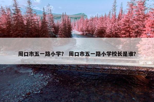 周口市五一路小学？ 周口市五一路小学校长是谁？