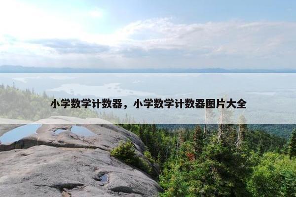 小学数学计数器，小学数学计数器图片大全