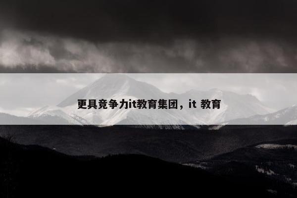 更具竞争力it教育集团，it 教育