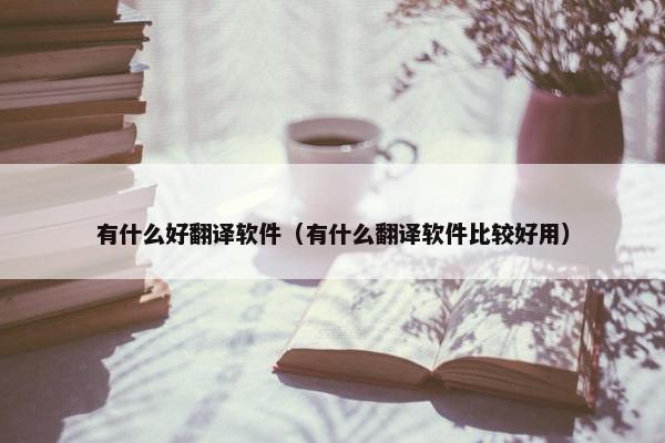 有什么好翻译软件（有什么翻译软件比较好用）